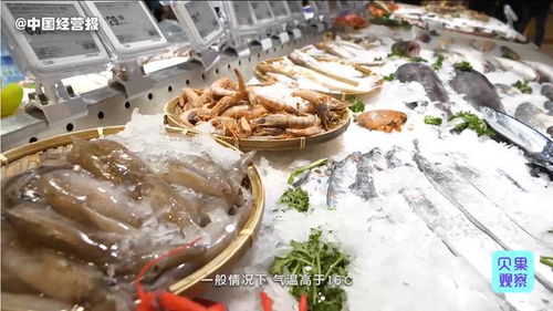 日产上百吨还不够用 制冰厂旺季下的工业冰块多重用途